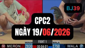 Video đá gà CPC2 Thomo hôm nay 19-06-2026