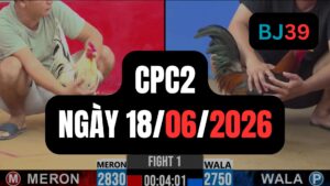 Video đá gà CPC2 Thomo hôm nay 18-06-2026