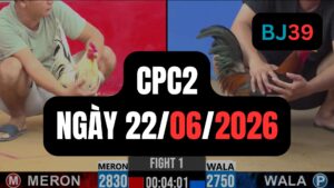 Video đá gà CPC2 Thomo hôm nay 22-06-2026