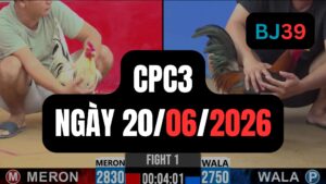 Video đá gà CPC3 Thomo hôm nay 20-06-2026