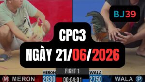 Video đá gà CPC3 Thomo hôm nay 21-06-2026