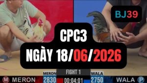 Video đá gà CPC3 Thomo hôm nay 18-06-2026
